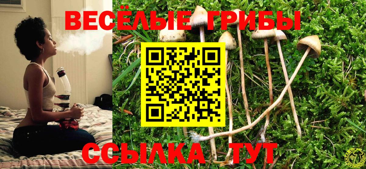 Псилоцибиновые грибы Magic Shrooms  Галлюциногенные грибы Psilocybine cubensis  Вход с VPN  Магадан 