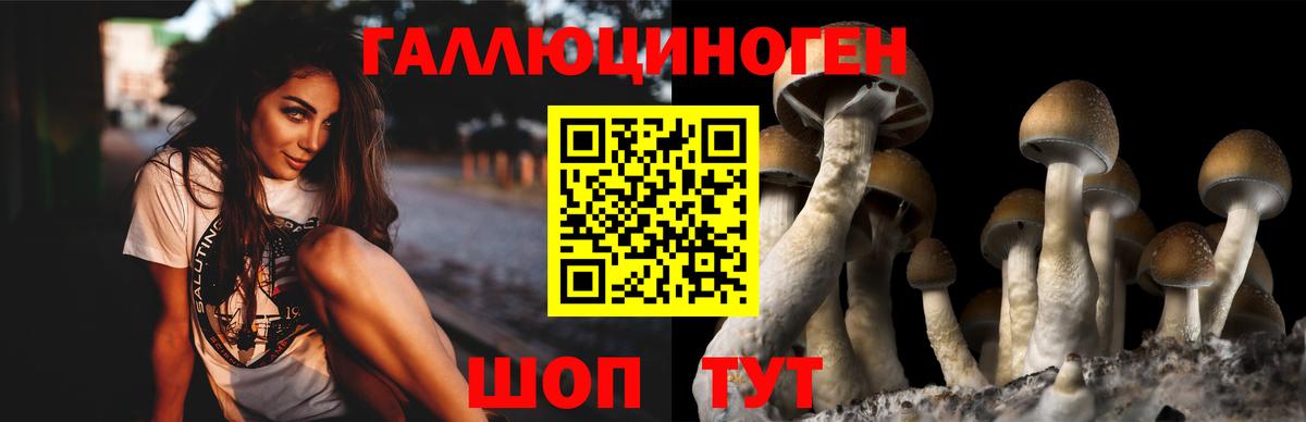 Галлюциногенные грибы Cubensis Магадан